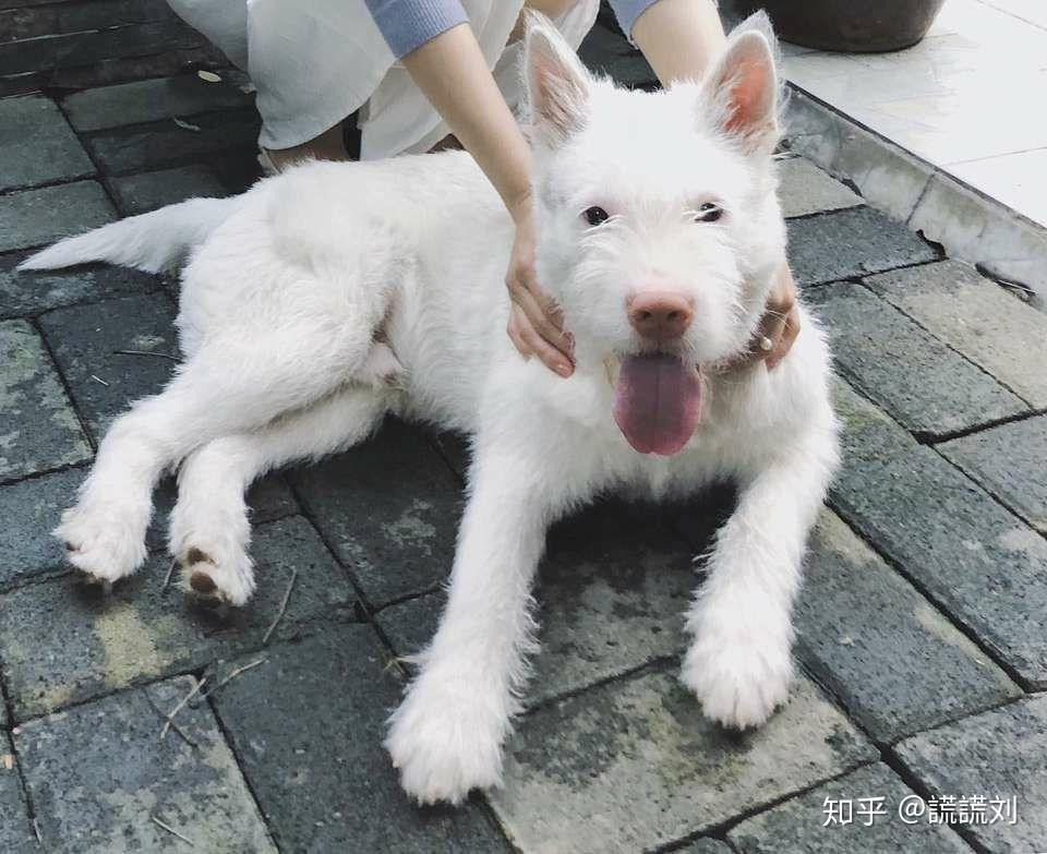 博全鋁業 第24頁