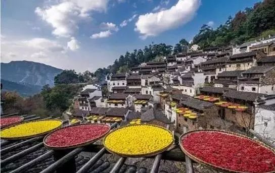 道山集團最新動態，小巷中的獨特風味探索之旅揭秘