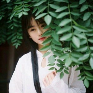 總裁老公寵入骨南笙最新，小巷風情小店中的甜蜜寵溺故事