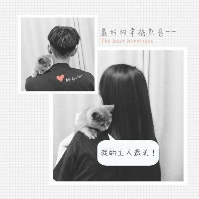 情侶微信昵稱最新版，甜蜜瞬間，愛意永流傳