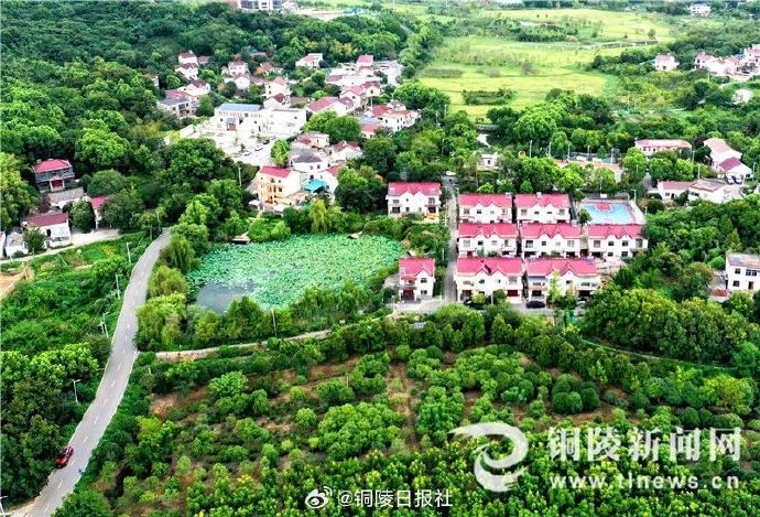 堰下張村最新動態，鄉村振興邁入新篇章