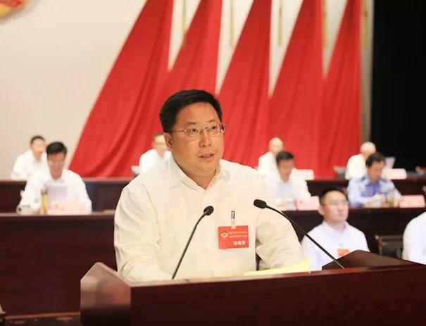 寶應最新發展規劃，繁榮新篇章的藍圖揭曉