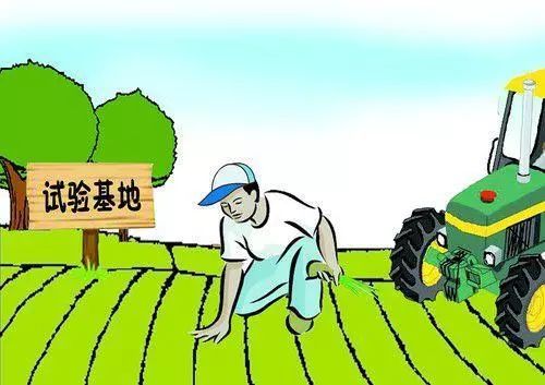 東光招工吧最新招工信息揭秘，小巷中的職業(yè)機會寶藏等你來發(fā)掘！