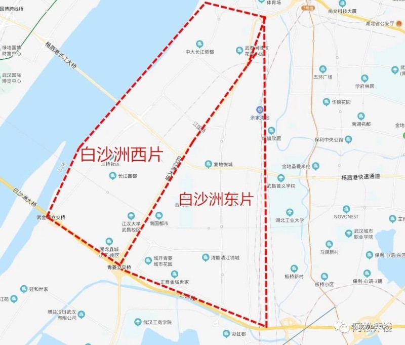 武漢白沙洲最新動態，新聞熱點與相關觀點探討