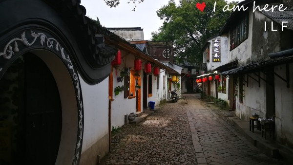 陳加民最新動態，小巷深處的獨特風味探秘揭秘