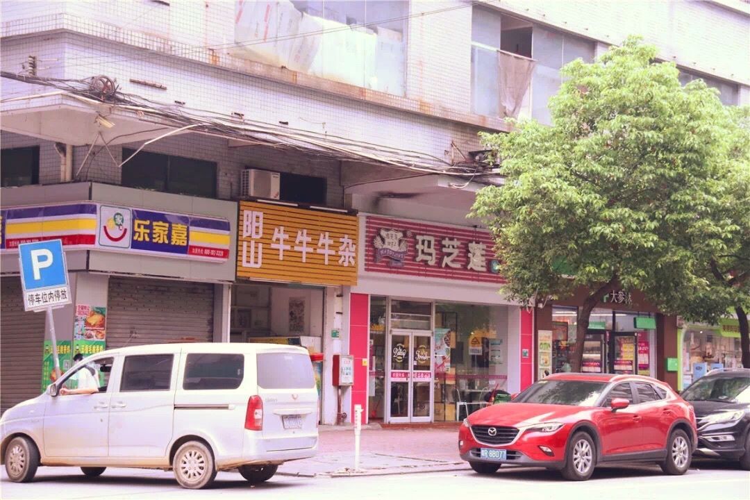 英德市金鑫城最新動態揭秘，小巷深處的特色小店探秘之旅