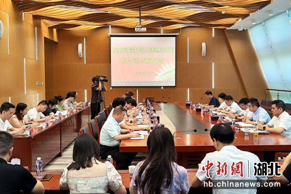 蔡甸干部最新消息,蔡甸干部最新消息，聚焦發展，共創未來