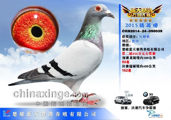 天立公棚最新公告2017,天立公棚最新公告2017，觀點闡述與分析