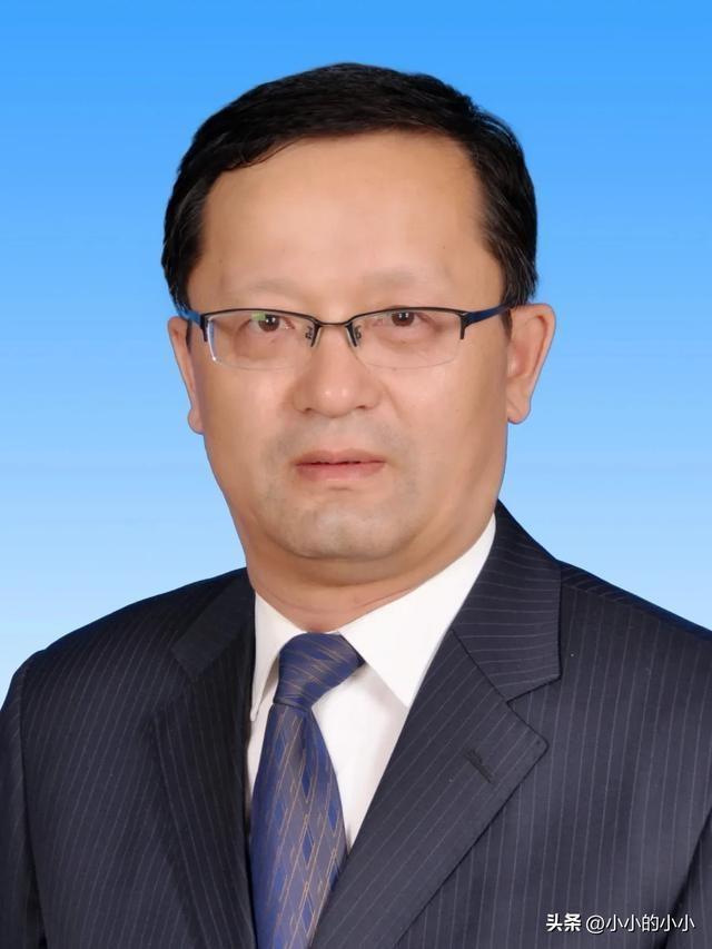 新疆霍城最新干部任免，多維度視角下的深度探討